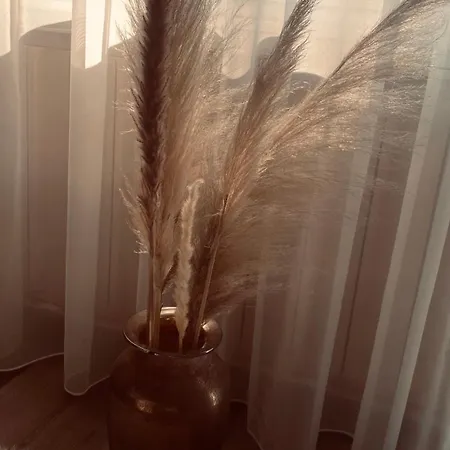 Apartman Silver Balatonboglár
