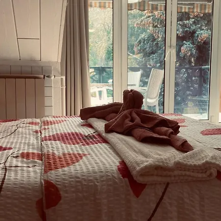 Silver Apartment Balatonboglar